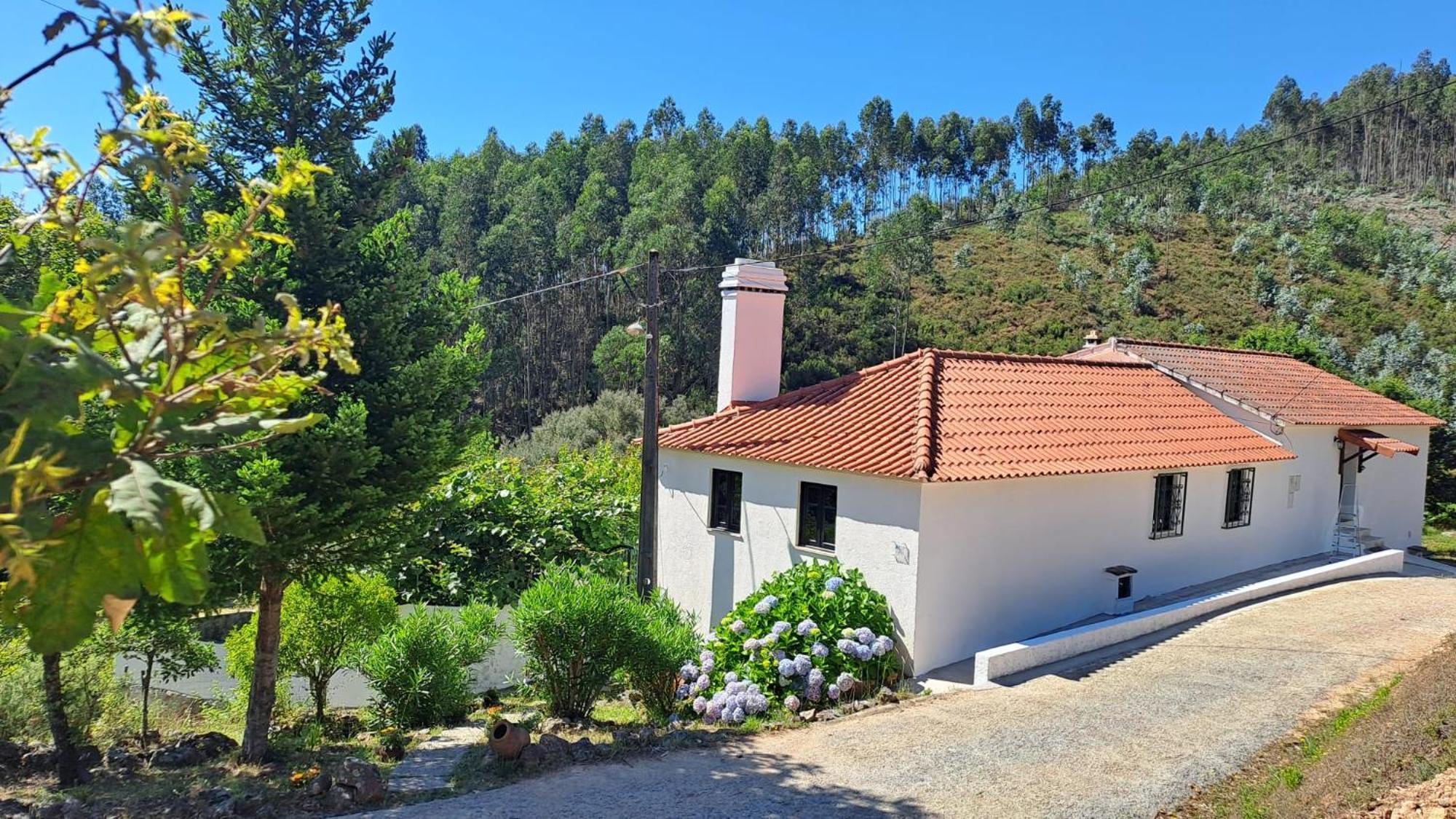 Casa da Milharica Figueiro Dos Vinhos Exterior foto
