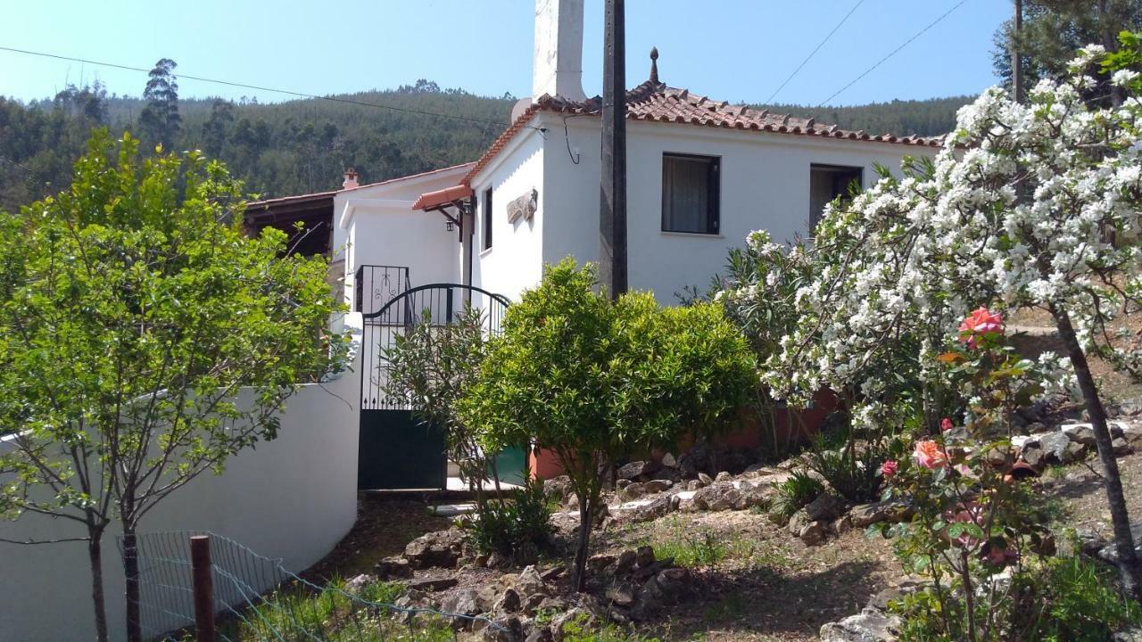 Casa da Milharica Figueiro Dos Vinhos Exterior foto